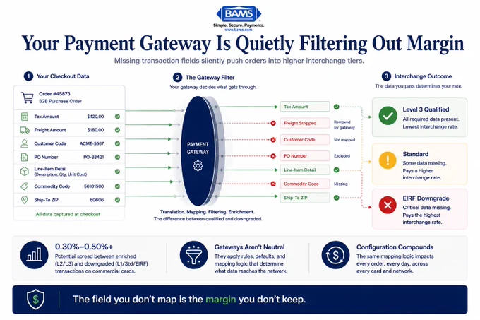 Editorial fintech infographic showing how ecommerce payment gateways strip transaction data fields that qualify orders for lower interchange rates.