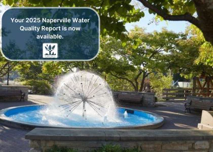 Image of Naperville Dandelion Fountain with text saying [ Your 2025 Naperville Water Quality Report is now available.]