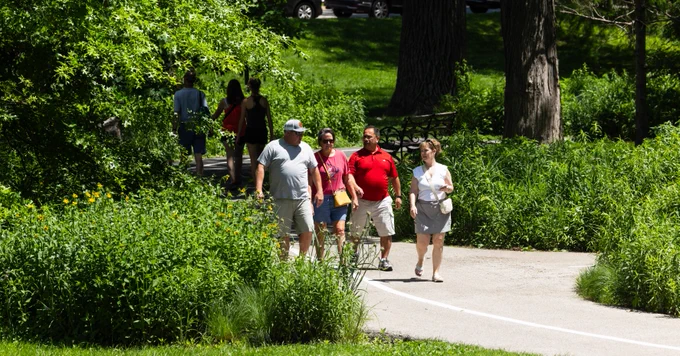 A person wearing a bright red shirt is walking among others along a paved pathway flanked by green foliage. 