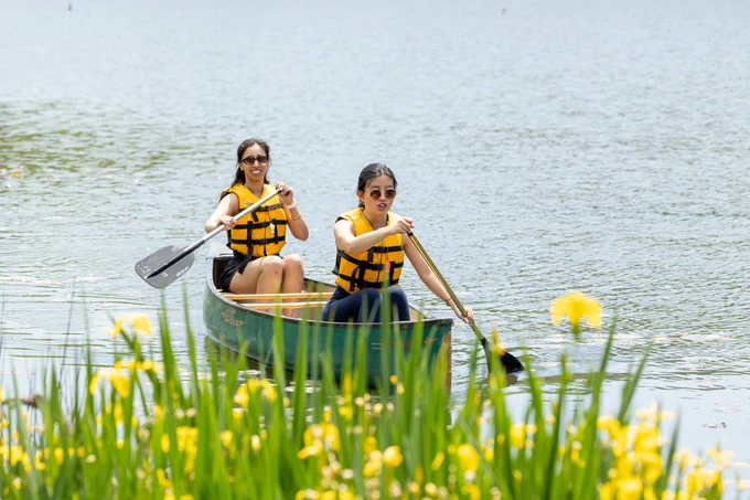 Two people paddling a canoe on a calm lake, wearing yellow life jackets. Vibrant yellow flowers are visible in the foreground.