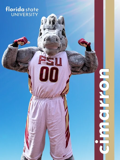 Florida State University's mascot, Cimarron, poses confidently in a sports uniform with "FSU" and "00" on the front. The sky is bright and clear in the background. The graphic is intended to look like a new Islander introduction for the TV show "Love Island." The words "Florida State University" are in the top left corner using Love Island typography, and Cimarron's name is on the right side along two stripes: one garnet and one gold.