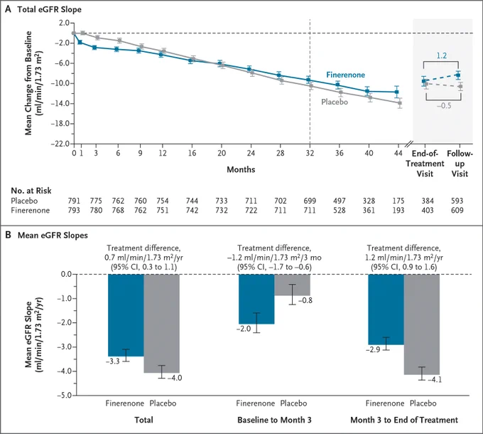 This image presents two graphs showing the change from baseline in the estimated glomerular filtration rate. The top graph shows Mean Change from Baseline in eGFR over a period of months for groups taking finerenone and placebo. The bottom chart displays Mean eGFR Slopes for the total period, baseline to month 3, and month 3 to end of treatment for finerenone and placebo groups, highlighting treatment differences.