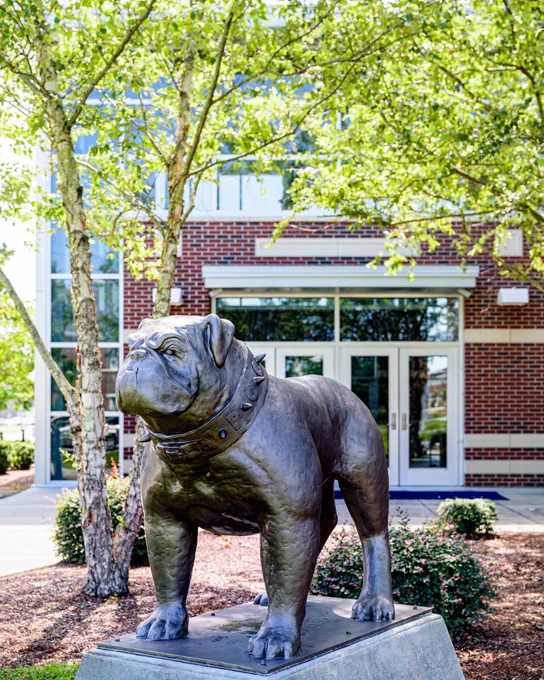 bulldog statue