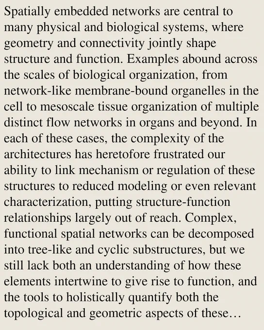 Spatially embedded networks are central to many physical and biological systems, where geometry and connectivity jointly shape structure and function. Examples abound across the scales of biological organization, from network-like membrane-bound organelles in the cell to mesoscale tissue organization of multiple distinct flow networks in organs and beyond. In each of these cases, the complexity of the architectures has heretofore frustrated our ability to link mechanism or regulation of these structures to reduced modeling or even relevant characterization, putting structure-function relationships largely out of reach. Complex, functional spatial networks can be decomposed into tree-like and cyclic substructures, but we still lack both an understanding of how these elements intertwine to give rise to function, and the tools to holistically quantify both the topological and geometric aspects of these features in their full network context. To close this gap, we here introduce GEMINI, a 