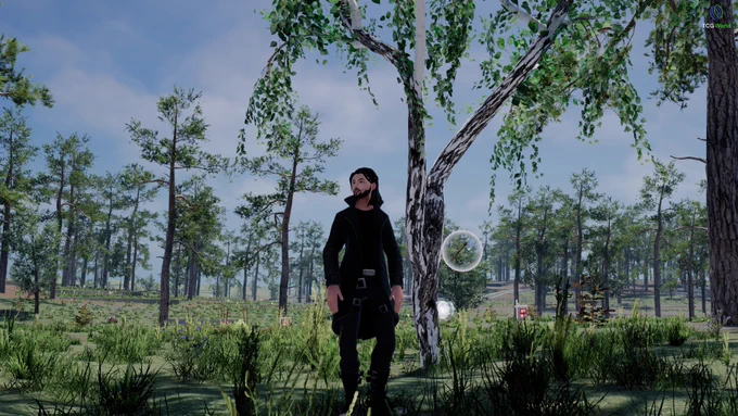 TCG World gameplay screenshot showing a player exploring a lush forest environment with tall trees, plants, and hidden Sprites in an open world landscape.