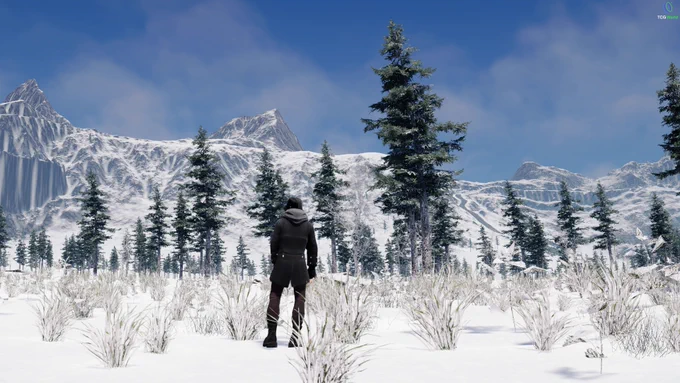 TCG World gameplay screenshot showing a player exploring the snowy Northern Tundra region with mountains, pine forests, and a vast winter landscape.