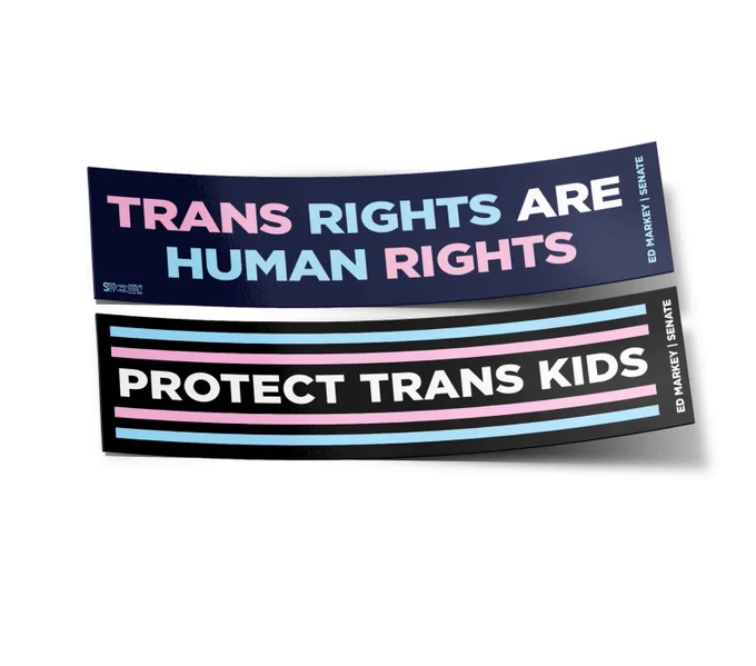 2 stickers reading: Trans Rights Are Human Rights
and 
Protect Trans Kids