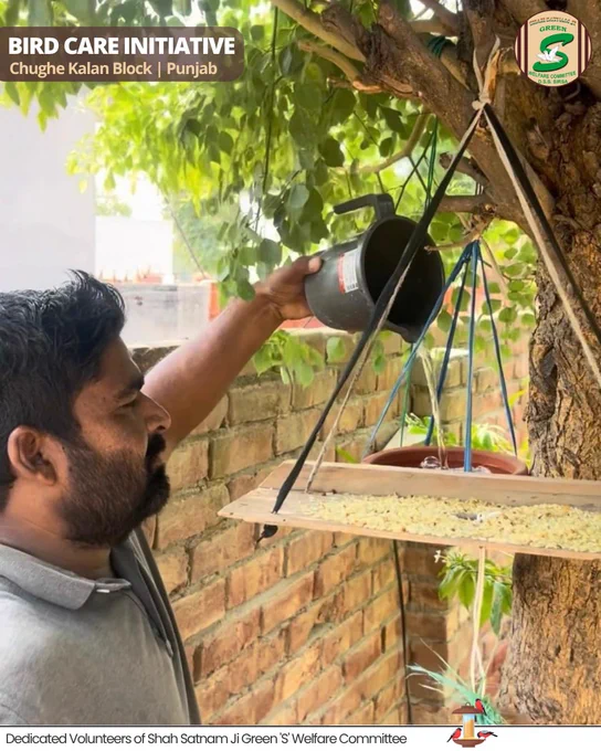 एक कटोरी पानी, एक मुट्ठी दाना... किसी नन्ही जान के लिए जीवन का सहारा बन सकता है।🐦💧

भीषण गर्मी में जब पक्षियों के लिए पानी और भोजन ढूंढना मुश्किल हो जाता है, तब शाह सतनाम जी ग्रीन 'S' वेलफेयर कमेटी के सेवादार उनके लिए राहत बनकर सामने आते हैं। पक्षियों के लिए पानी और दाने की व्यवस्था कर वे यह सुनिश्चित कर रहे हैं कि कोई भी परिंदा प्यासा या भूखा न रहे।

आइए, हम भी अपने घर, छत, बालकनी या आसपास के पेड़ों पर पानी और दाने की व्यवस्था करके इन नन्हे मेहमानों की मदद करें। 


[Bird Care, Nurturing Birds, Summer Relief, Save Birds, Nature Care]