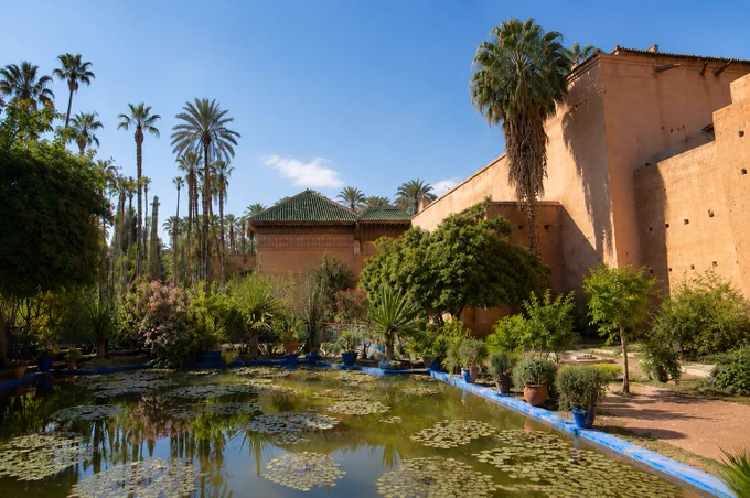 Sonniger Garten mit Palmen, blühenden Pflanzen und einem ruhigen Seerosenteich vor traditionellen, sandfarbenen Mauern. Eine friedliche Oase mit mediterranem Flair unter strahlend blauem Himmel. 🌿🌴☀️💧