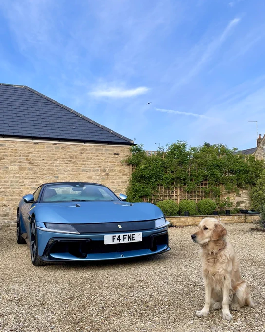Ferrari 12 Cilindri Spider and Golden Retriever