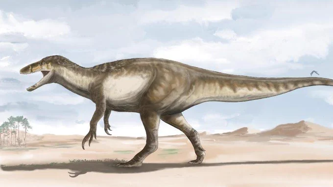 Artwork by Agustín Ozán