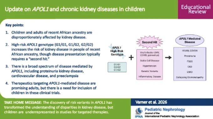 Summary of APOL1 gene variants' impact on kidney disease in children of African ancestry, highlighting risk factors and therapeutic needs.