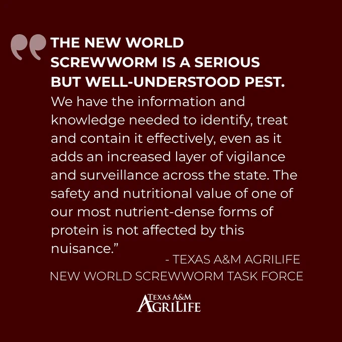 The image features a quote discussing the New World screwworm as a serious but well-understood pest. It emphasizes the importance of identification, treatment, and containment, highlighting the safety and nutritional value of certain proteins. The quote is attributed to the Texas A&M AgriLife New World Screwworm Task Force. The background is dark red with white text, accompanied by the Texas A&M AgriLife logo.