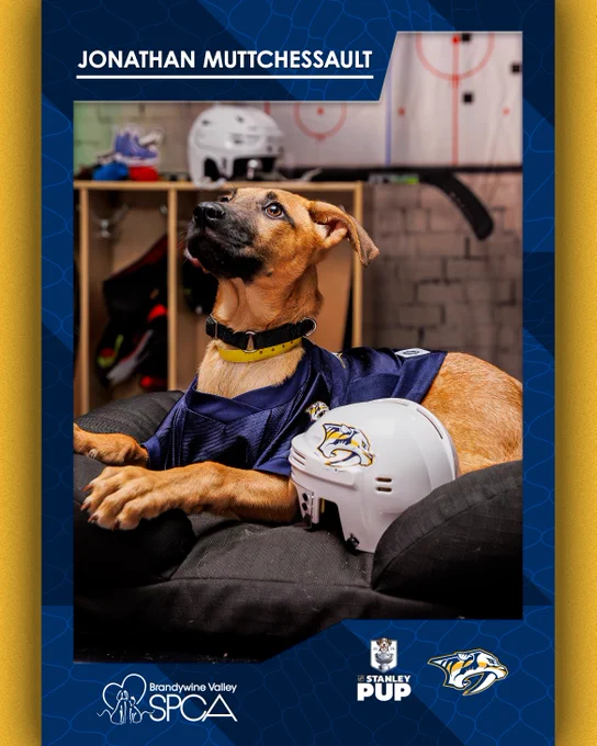Image of a Puppy Player card for the NHL Stanley Pup. The Preds pup is named Jonathan Muttchessault. 