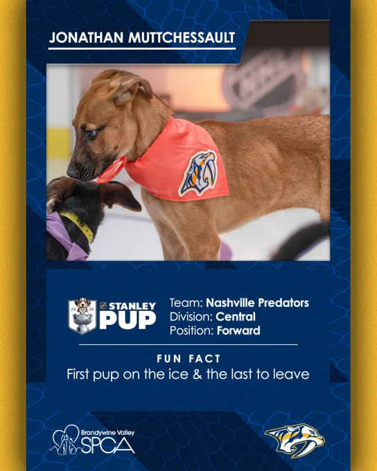 Image of a Puppy Player card for the NHL Stanley Pup. The Preds pup is named Jonathan Muttchessault. Puppy fun fact reads "first pup on the ice and the last to leave." 
