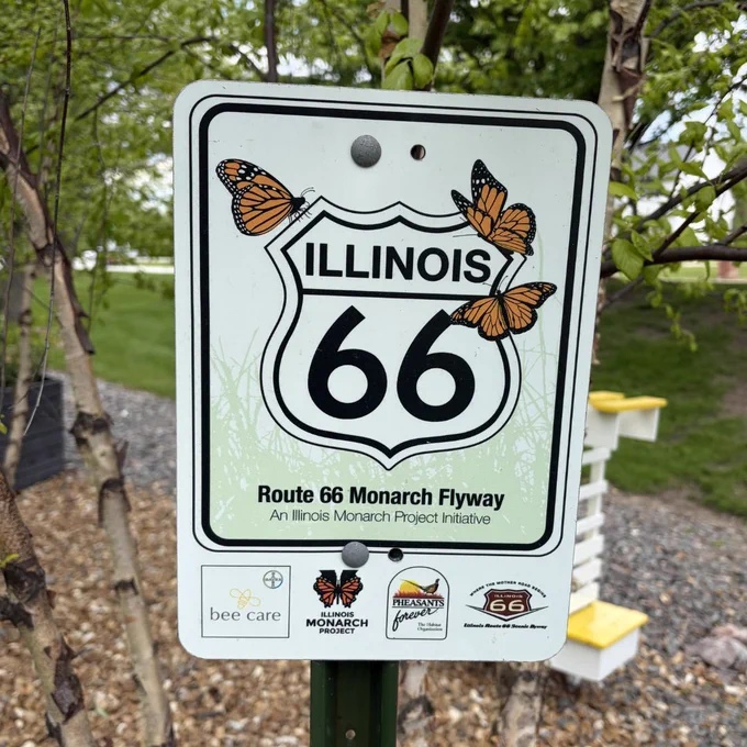 Route 66 Monarch Flyaway sign.