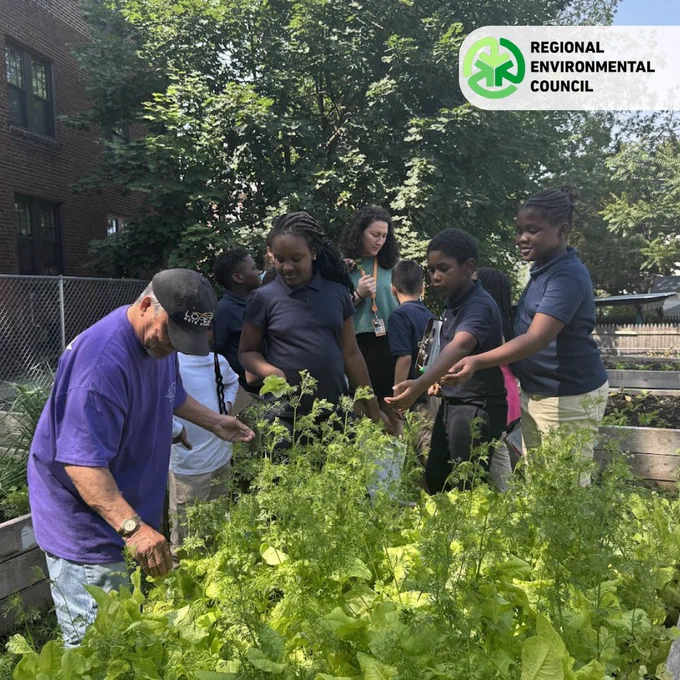 A group of children and an adult are next to a lush garden bed filled with green plants under a sunny sky at a community garden. The adult offers fresh lettuce & cilantro from his garden. 