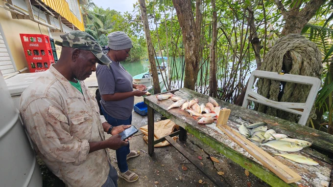 Two fishers in outdoor gear stand at a wooden table covered with freshly caught fish, using mobile devices to record data as part of a community-led fisheries monitoring program in Punta Gorda, Belize.