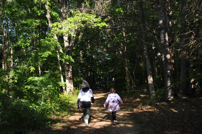 Two people walking on a sunlit forest trail surrounded by tall trees and dense greenery.
