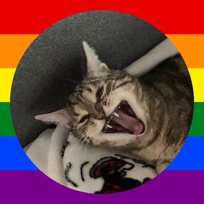coda the tabby cat has her mouth open as if she is screaming. there is a pride flag border around her