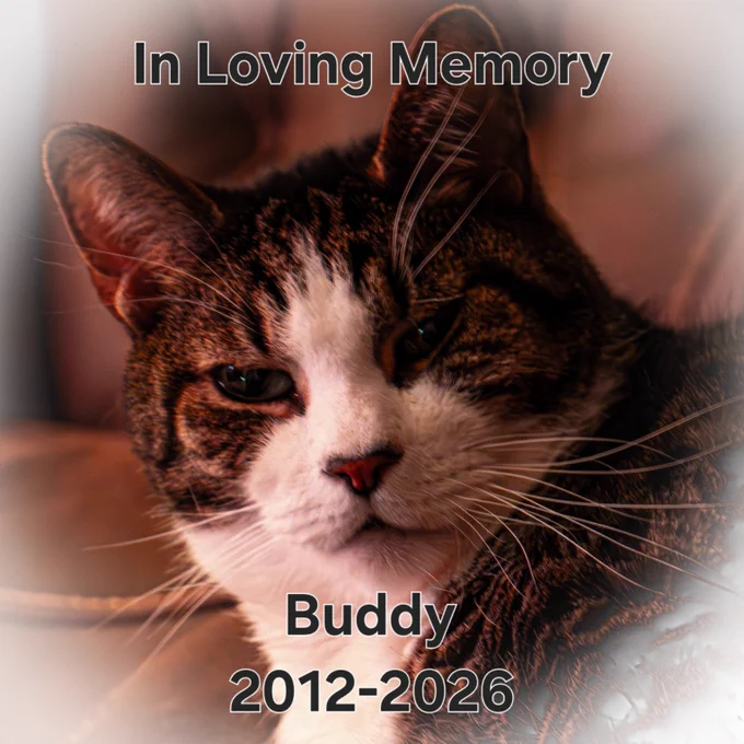 Buddy - September 15th, 2012 - June 6th, 2026! Forever King Buddy, King Chunk, Hump machine. 