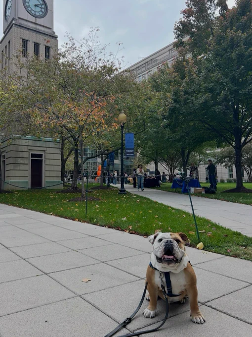 Jack sitting on the concrete of capitol campus

