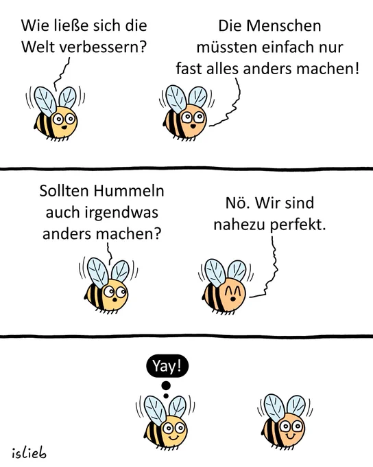 Der Comic besteht aus drei aufeinanderfolgenden Bildern und zeigt zwei fliegende Hummeln, die sich miteinander unterhalten.

Bild 1: Die linke Hummel fragt: „Wie ließe sich die Welt verbessern?“ Die rechte Hummel antwortet: „Die Menschen müssten einfach nur fast alles anders machen!“

Bild 2: Die linke Hummel fragt weiter: „Sollten Hummeln auch irgendwas anders machen?“ Die rechte Hummel antwortet zufrieden: „Nö. Wir sind nahezu perfekt.“

Bild 3: Beide Hummeln lächeln fröhlich. Über der linken Hummel erscheint eine schwarze Denkblase mit dem Wort: „Yay!“