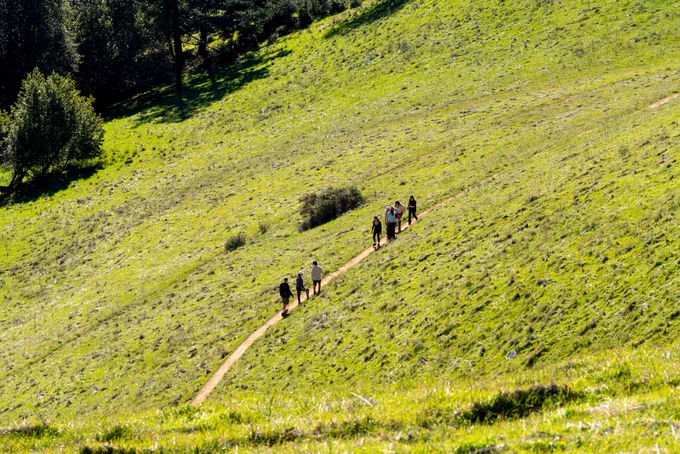 Hikers at Mount Tamalpais State Park