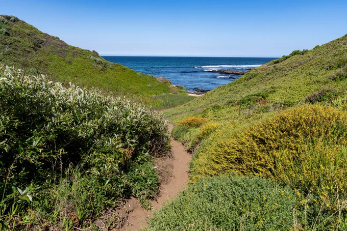 Trail with the ocean view at Montana de Oro State Park. 