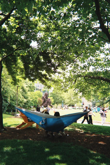 A person with dark hair relaxes in a blue hammock strung between trees in a sunny park. Dappled sunlight filters through the lush green leaves, illuminating the grass. In the background, other people walk and sit on benches, with buildings visible beyond the trees.