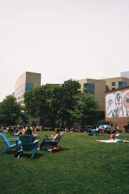 People relax on a sunny green lawn. Two women in blue Adirondack chairs use laptops in the foreground. Others are scattered across the grass, some on blankets, enjoying the day. Modern buildings with light facades and a large mural of two faces on a brick wall stand in the background under a bright sky.