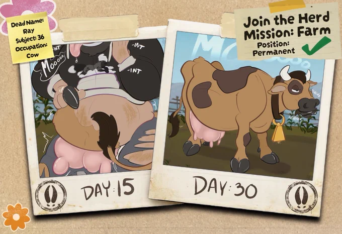 MOOOOOOOOOOOOOOOO✨🐮
Thank you so much to @dexyrays.bsky.social for volunteering to Join the #Farm! 🌾

#TF #Transformation #TGTF #Cow 🐄 #TFEveryDay