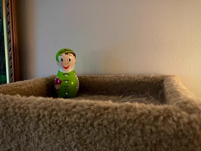The Elf is in a rather peculiar spot. ❌