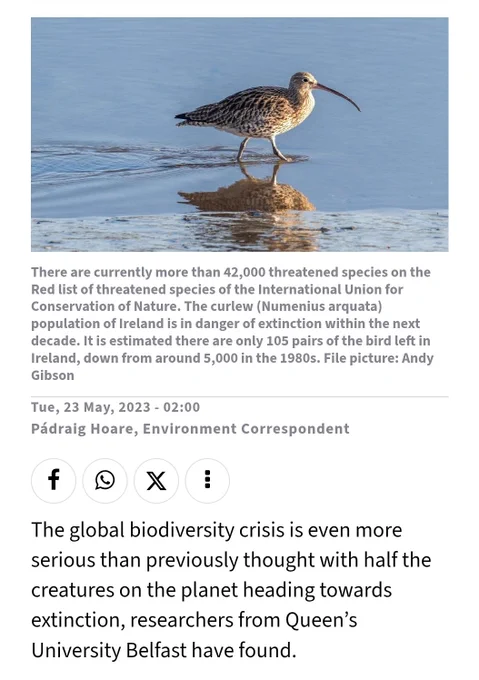 The global biodiversity crisis is even more serious than previously thought with half the creatures on the planet heading towards extinction, researchers from Queen’s University Belfast have found.