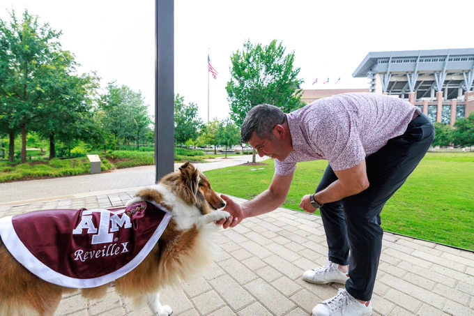A person wearing a patterned shirt and dark pants bends down to shake hands with Reveille X, a Collie wearing an "A&M" maroon blanket. The background features a green lawn, trees, and a building with American and other flags.
