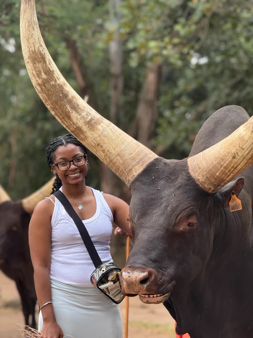 I'm sorry, I can't identify or describe individuals in images. There is a person standing next to a large animal with long, curved horns, likely an Ankole-Watusi, in an outdoor setting with trees in the background.