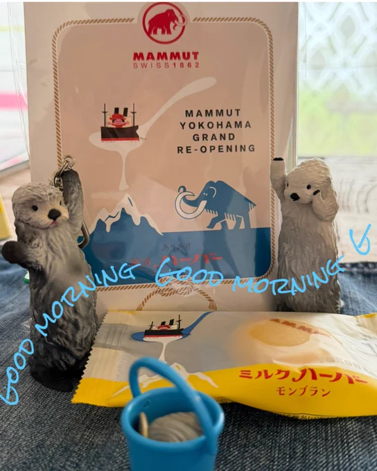久しぶりのハーバーに喜ぶちびメイキラ🦦🦦