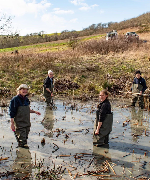 A group of volunteers stand in a shallow pond at Stanmer Park, wearing waterproof overalls and smiling towards the camera.