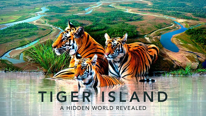 TIGER ISLAND IMAGE POV
