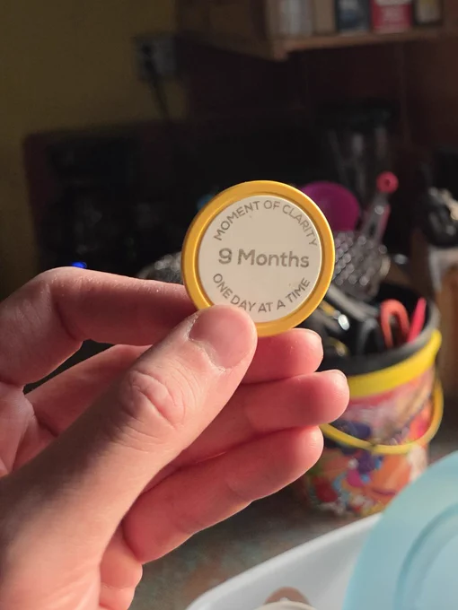 A close-up photo of a 9-month sobriety chip, held by a white person's hand in a kitchen. The chip reads:

"Moment of Clarity

9 Months

One Day at a Time"