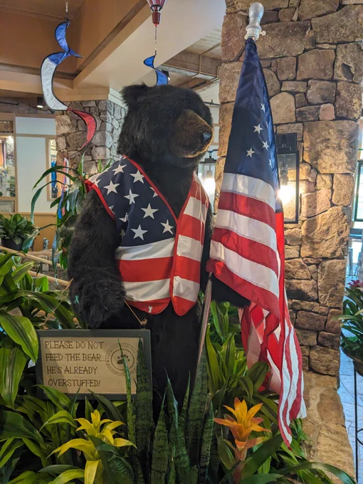 American Bear