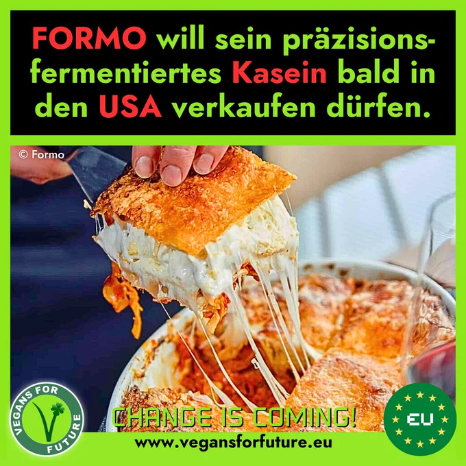 Text: "Formo will sein präzisionsfermentiertes Kasein bald in den USA verkaufen dürfen."
Auf dem Bild sieht man den PF-Käse der Firma.