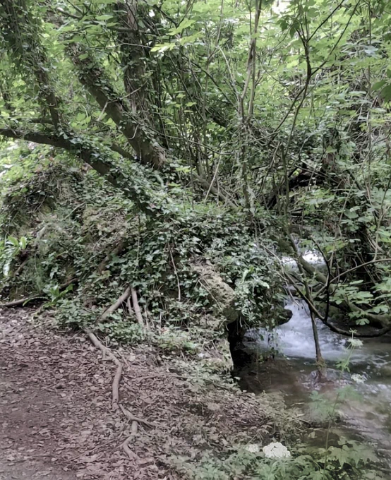 Sentiero dei Sogni, Sangineto (CS)