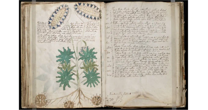 Sebuah halaman dari manuskrip Voynich yang misterius, yang hingga kini belum terpecahkan.

Source: https://www.wikipedia.org