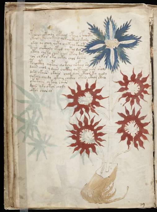 Sebuah halaman dari manuskrip Voynich yang misterius, yang hingga kini belum terpecahkan.

Source: https://www.wikipedia.org