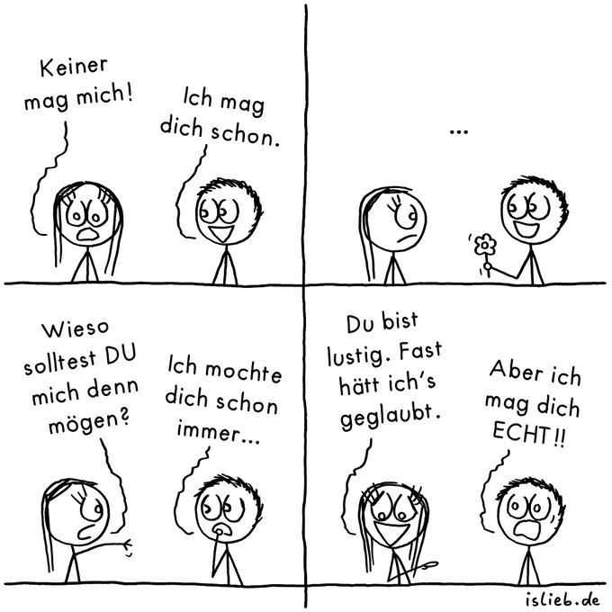 Der Schwarz-Weiß-Comic besteht aus vier Bildern und zeigt ein Gespräch zwischen zwei Strich-Figuren. Die linke Figur hat lange Haare, die rechte kurze.

Bild 1: Die linke Figur sieht unglücklich aus und sagt: „Keiner mag mich!“. Die rechte Figur lächelt und erwidert: „Ich mag dich schon.“

Bild 2: Die rechte Figur reicht der linken lächelnd eine kleine Blume. Über ihnen stehen schweigende Punkte („...“). Die linke Figur guckt skeptisch.

Bild 3: Die linke Figur gestikuliert und fragt zweifelnd: „Wieso solltest DU mich denn mögen?“. Die rechte Figur antwortet etwas unsicher: „Ich mochte dich schon immer...“

Bild 4: Die linke Figur lacht fröhlich und sagt: „Du bist lustig. Fast hätt ich's geglaubt.“ Die rechte Figur reißt den Mund auf und ruft verzweifelt: „Aber ich mag dich ECHT!!“