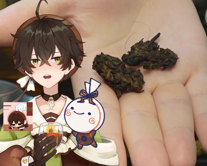 laochatou tea being held up to the camera due to the process it is made with clumping before the tea is able to be sorted it can contain hair and in the photo a piece with hair is visible