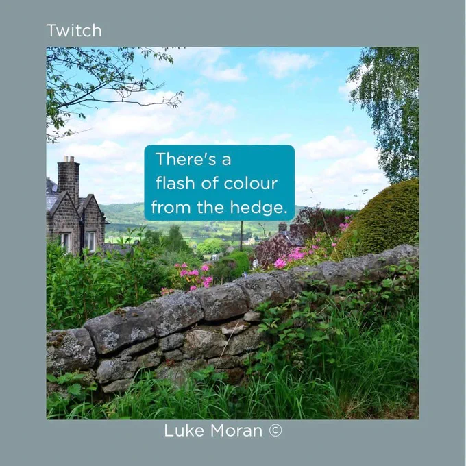 English countryside landscape. Title: Twitch. Quote: 'There's a flash of colour from the hedge.' Poet: Luke Moran.