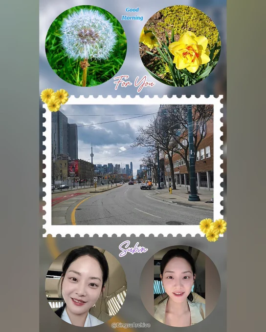 A digital postcard collage pairing personal photography of Toronto with actress Chung Subin. Features a scenic view of Spadina Avenue looking toward the CN Tower, vibrant spring shots of a yellow daffodil and a white dandelion, and two lovely car selfies of a smiling Chung Subin. 💛☀️🌟🌻🌼🍧🍀✨️

Credits:
📸 Photos: [2026.06.07] Subin 🫧 Updates.
✂️ Edit: @BingsuArchive 
📍 Location: From Toronto with Love 🇨🇦🍁🍧
