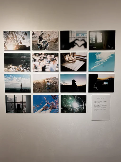 自分の内面の言葉にできない感情を表現する為に写真を撮ってるんかなって思った